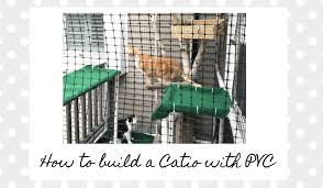 Inspiration for this wooden litter box enclosure. How To Build A Catio With Pvc Pipes Our Re Purposed Home