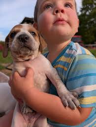 Assembly of God church hall repair fundraiser postponed