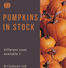 Seven towns ltd (londýn, spojené kráľovstvo) (v zastúpení: B Cookson Ltd Home Facebook