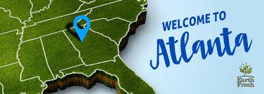 resume writing services in burlington