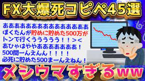 2ch面白いスレ】FXで爆死した奴の発狂コピペがヤバすぎるww【ゆっくり解説】 - YouTube