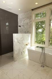 Shower With No Glass Showers Without Doors Contemporary Bathroom Designs Doorless Shower Design