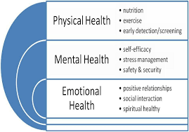 Physical Mental Emotional Health Mental And Emotional Health Emotional Health Health And Wellness Quotes
