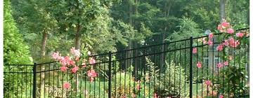 Find out which is the best the antenna can get caught on fences, bushes, or trees. The Best Plants For Your Aluminum Fence