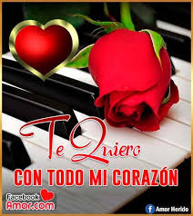 Pin En Lop