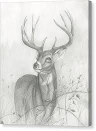 Black And White Deer Canvas Deer Canvas Print Canvas Art By Lee Herman Deer Art Print Deer Art Deer Drawing
