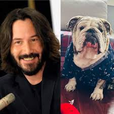 Sonia Uche joined the Nicki Minaj challenge, she no come Kee herself abeg  ..all challenge na challenge jhoor🤣🤣🤣 #fypシ