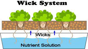 Maybe you would like to learn more about one of these? What Is Wick System Hydroponics Smart Garden Guide