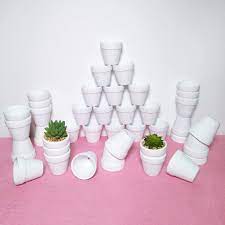 We did not find results for: Matte White Wedding Bridal Baby Shower Favors Set Of 40 40 Pcs 2 5 Small Mini Terra