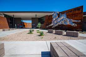A Decade Of Life-saving Change At Pima Animal Care Center Friends Of Pima Animal Care Center