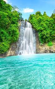 Wild Waterfalls Live Wallpaper Waterfall Wallpaper Scenery Waterfall Pictures