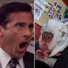 What is your unpopular opinion about The Office?