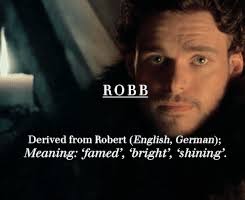 Stay Stylish, Stay Cool~ — theclashofqueens: House Stark + name...