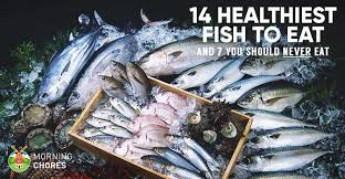 Frying can increase the fat content of fish and shellfish, especially if they're to ensure there are enough fish and shellfish to eat, choose from as wide a range of these foods as possible. 14 Healthiest Best Fish To Eat And 7 To Absolutely Steer Clear Of Fish Eat Healthy Fish