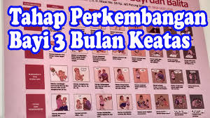 Perkembangan Bayi 4 Bulan Sampai 5 Tahun Bayi 4 Bulan Bayi Tahap Perkembangan