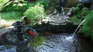 Ruangan rumah akan lebih sejuk dan akan hidup dengan kolam ikan yang dilengkapi dengan tanaman hias dan batu alam. Kolam Ikan Dalam Rumah 1067x800 Wallpaper Teahub Io