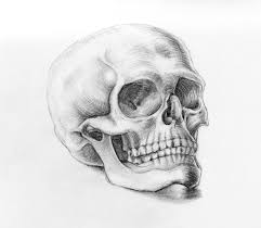 First, we draw a skull. How To Draw A Realistic Skull Novocom Top