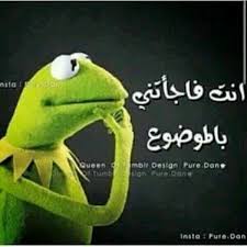 Pin By Mohamed Sayed On 1 Funny Arabic Quotes Fun Quotes Funny Funny Photo Memes