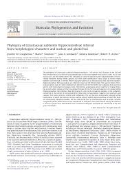 Image result for Hippocratea goetzei