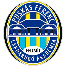Previa de europa league : Puskas Akademia Fc Logo Download Logo Icon Png Svg