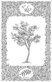 Rowan Tree Rowan Tree Tree Tattoo Tree Tattoo Designs