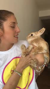 Los Conejos Pueden Comer Coco