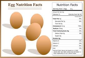egg nutrients ile ilgili gÃ¶rsel sonucu
