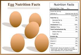 The Boiled Egg Diet A Detailed Beginners Guide