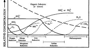 Groundwater With A Source Of Organic Carbon Or Other Electron Donors Shows A Sequence Of Distinct Redox Zones Al Groundwater Science Center Soil Microorganisms