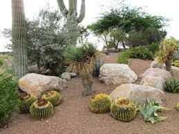 Before you can create an all new drought friendly landscape, you have to get rid of what's there. 8 Steps To Diy Xeriscape Landscape Design Xeriscape Landscaping Succulent Landscape Design Desert Landscape Design