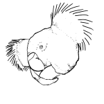 Download Koala Bear Silhouette Free Svg SVG Cut Files