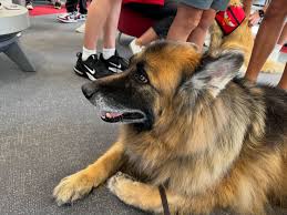 Erika Tobin (@oberonoflostlakewoods) • Instagram photos and videos