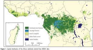 African jungle illustrations & vectors. The Magic Of The Internet Rainforest Map Congo Rainforest African Rainforest