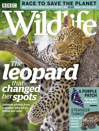 Bbc Wildlife Magazine Subscription Uk Offer Animal Magazines Magazines For Kids Wildlife