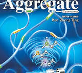 Aggregate Author Guidelines