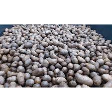 Yahoo!ショッピング - Yahoo! JAPAN