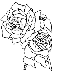 In the 15th century they were used as symbols of the warring sides in the war of the roses and in the 17th century they were even used by royalty as form of payment. Flower Coloring Pages