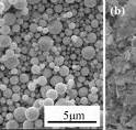 SEM images of silver powder; a spherical silver powder; b ...