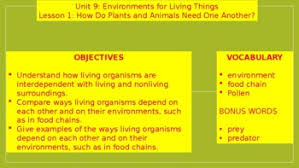 Plants And Animals Depend On Each Other Worksheets Tpt