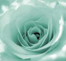 Mint green tag page contains color schemes, palettes and colour combinations with mint green colors. Pin By Jessica Ramberg On Mint Green Mint Green Aesthetic Mint Aesthetic Mint Green