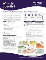 Image result for Obesity Management