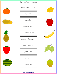 Image result for hindi worksheets for grade 1 free printable. Tamil Worksheet 1 Tamil Easy Learning For Kids Facebook