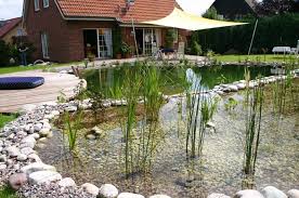 Schwimmteich Schwimmteich Teich Schwimmen