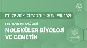 Moleküler biyoloji ve genetik bölümü. Itu Bolum Sunumlari Molekuler Biyoloji Ve Genetik Bolumu Youtube