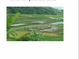 Bentuk muka bumi dan saliran di asia tenggara. Bentuk Muka Bumi Lessons Blendspace