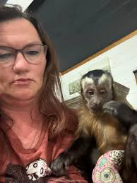 My dream last night… I dream that we turned the monkeys loose and set them  free in this 20 degree weather except “free” was