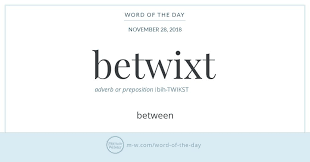 Word Of The Day Betwixt Word Definitions Words Uncommon Words