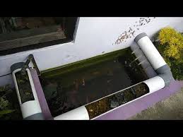 Kolam Ikan Filter Paralon Youtube