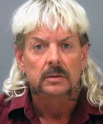 Tigerkungens uppgång och fall