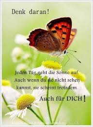 Danke Daizo Daizo Danke Motivational Quotes For Life Life Quotes Positive Quotes For Life